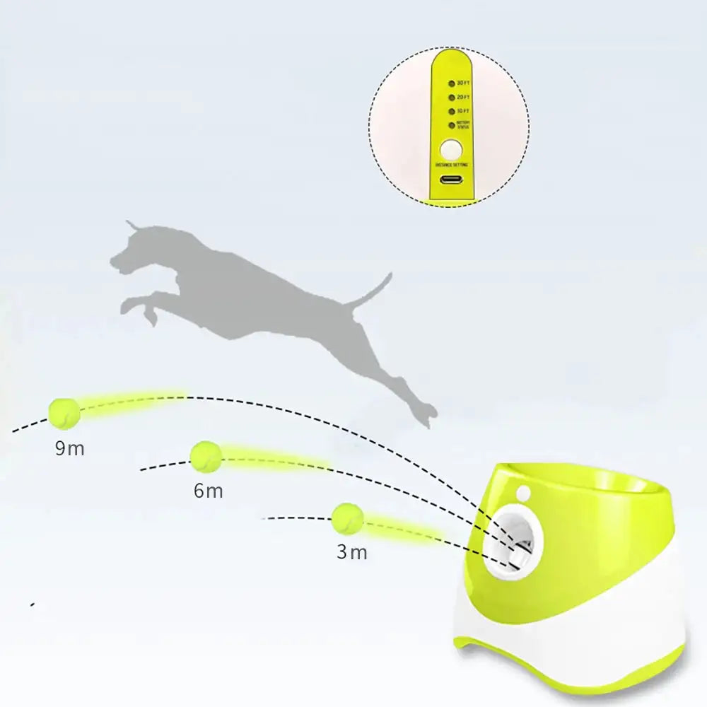 PawMaster 3000