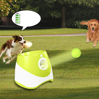 PawMaster 3000