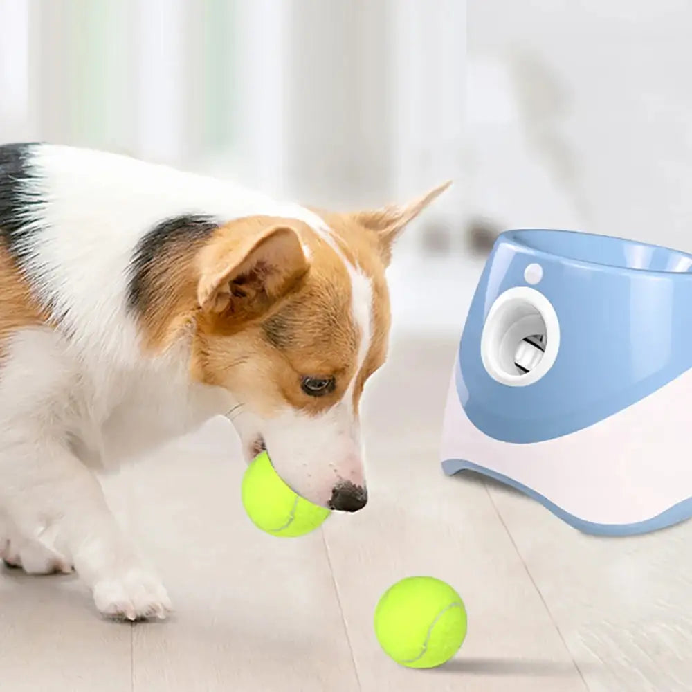 PawMaster 3000
