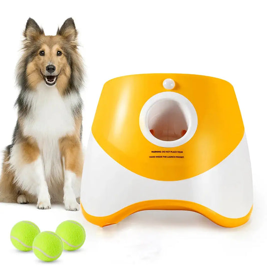 PawMaster 3000