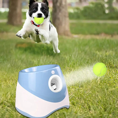 PawMaster 3000